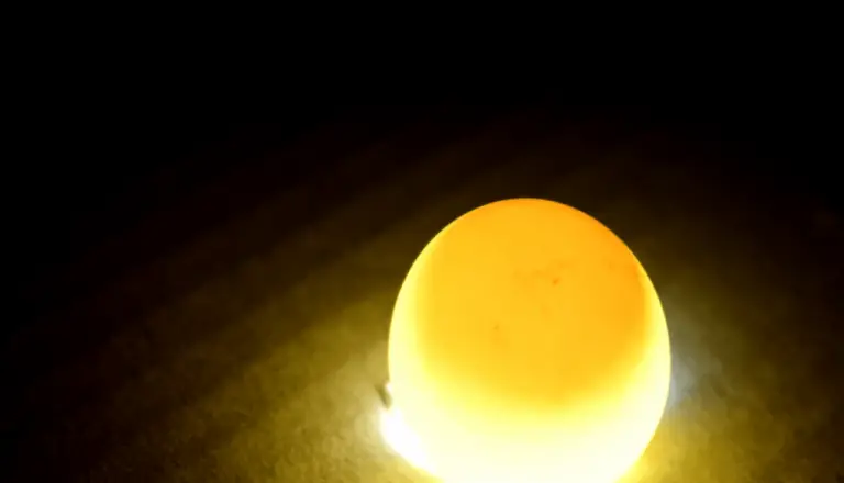 🐦Candling Eggs 🥚: How To Tell If An Egg Is Fertilized