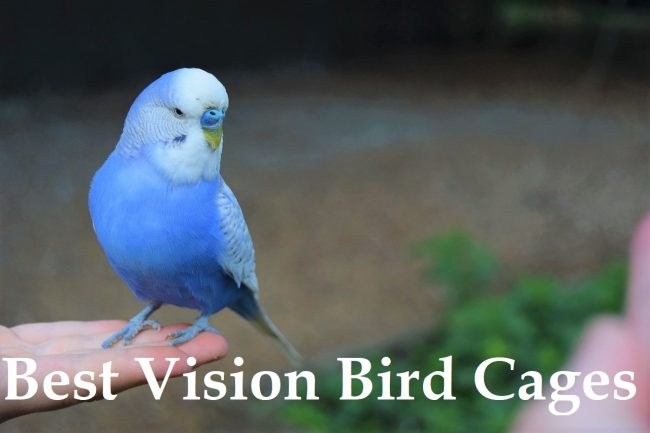 best vision bird cages