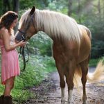 8 Ways To Quickly Minimize Your Horse's Anxiety