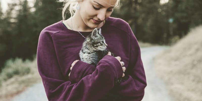 10 Reasons Why Cats Make Great Pets
